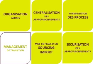 organisation-illustration
